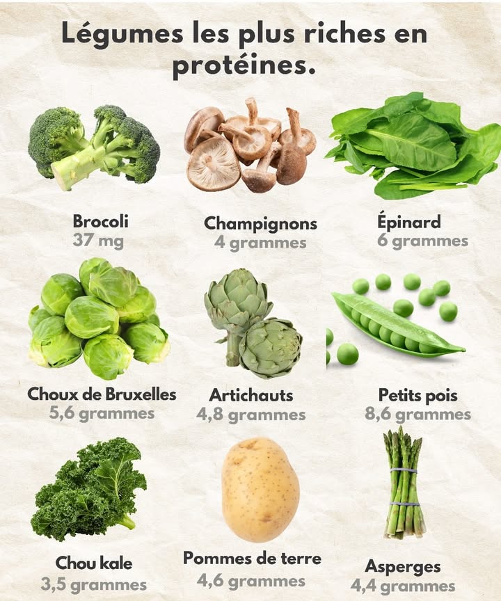 復 Top des légumes riches en protéines végétales ! 

Tu veux renforcer ton apport en protéines tout en restant sur une alimentation végétale ?
Voici les légumes les plus intéressants pour soutenir ton organisme 

塞 Épinards : environ 6 g de protéines
 Petits pois : jusquà 8,6 g
復 Brocoli : près de 3,7 g
 Champignons : environ 4 g
 Kale : autour de 3,5 g
 Choux de Bruxelles : près de 5,6 g
 Artichauts : environ 4,6 g
凜 Pommes de terre : autour de 4,6 g
異 Asperges : environ 4,4 g

 Une sélection parfaite pour compléter un régime végétarien, soutenir la récupération sportive ou simplement manger plus sain au quotidien !