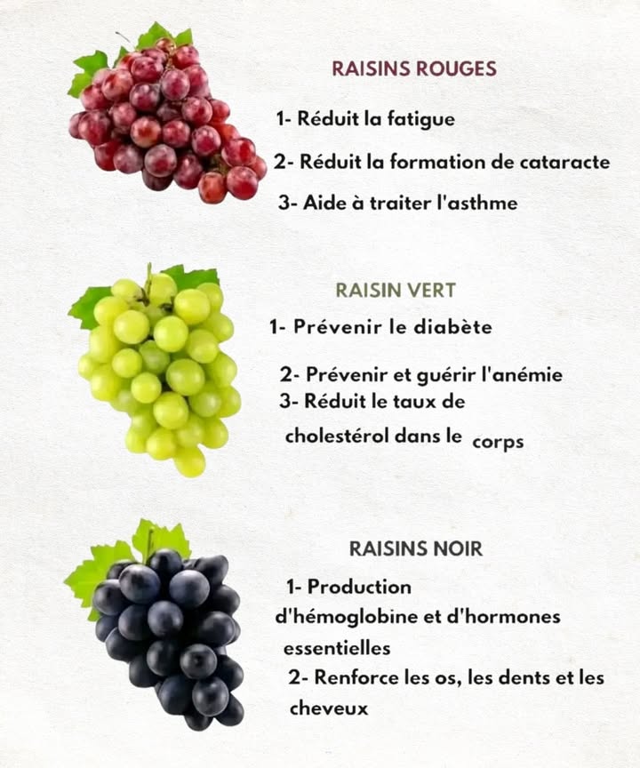1 Raisin rouge
Grâce à sa richesse en resvératrol, il protège naturellement le système cardiovasculaire, soutient la vue et apporte un regain dénergie presque immédiat.

2 Raisin vert
Excellent allié pour stabiliser la glycémie, il participe au bon fonctionnement du cœur et combat lanémie grâce à ses minéraux et vitamines essentiels.

3 Raisin noir
Très concentré en polyphénols, il agit comme un bouclier anti-âge, renforce la solidité osseuse et contribue à maintenir léquilibre hormonal.

Conclusion :
Quelle que soit la variété choisie, le raisin demeure un fruit précieux pour la santé. Lajouter régulièrement à vos repas, cest sassurer une source naturelle de bienfaits au quotidien.