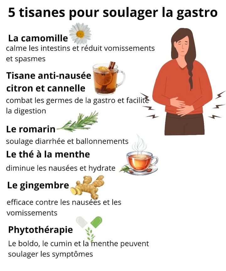 裸 Tisanes simples pour calmer la gastro 裸
Voici des infusions faciles qui apportent du réconfort quand lestomac est sensible :
1 Camomille 
Apaise les intestins et réduit les spasmes 懶
2 Citron & cannelle 
Aide la digestion et atténue les nausées 
3 Romarin 
Soulage diarrhée, gaz et ballonnements 
4 Menthe 
Hydrate et diminue les nausées 
5 Gingembre 
Un bon soutien contre les vomissements 
6 Phytothérapie 
Boldo, cumin ou menthe pour apaiser naturellement 
Un peu de repos, une bonne hydratation et des tisanes légères permettent de se sentir mieux progressivement.
#bienetre