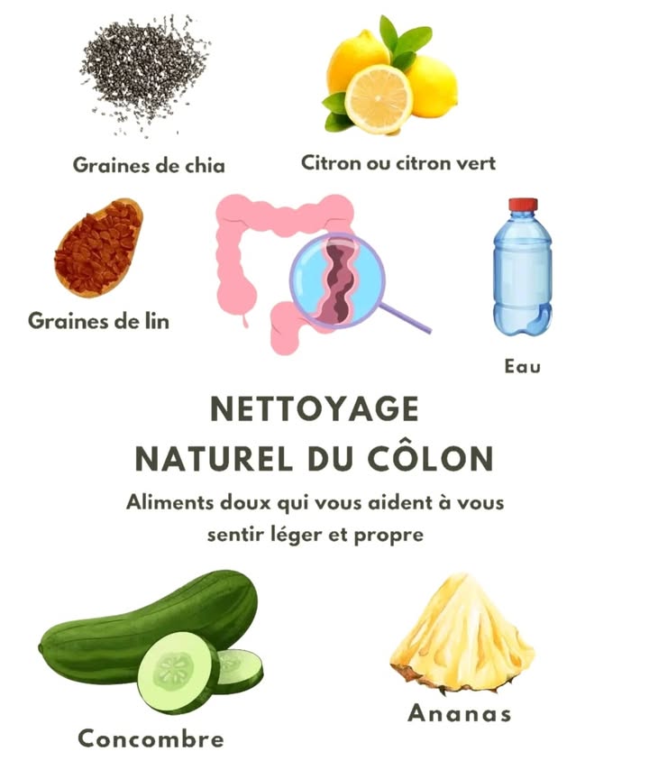 Mélange nettoyant pour le côlon à consommer une fois par jour

1 c. à s. de graines de chia trempées

1 c. à c. de graines de lin moulues

 tasse dananas frais en morceaux

 de concombre coupé en dés

 c. à c. de graines de papaye écrasées facultatif

Jus dun citron ou dun citron vert

250 à 500 ml deau

Préparation
Mixer tous les ingrédients jusquà obtenir une boisson homogène.
Boire à jeun, de préférence le matin.