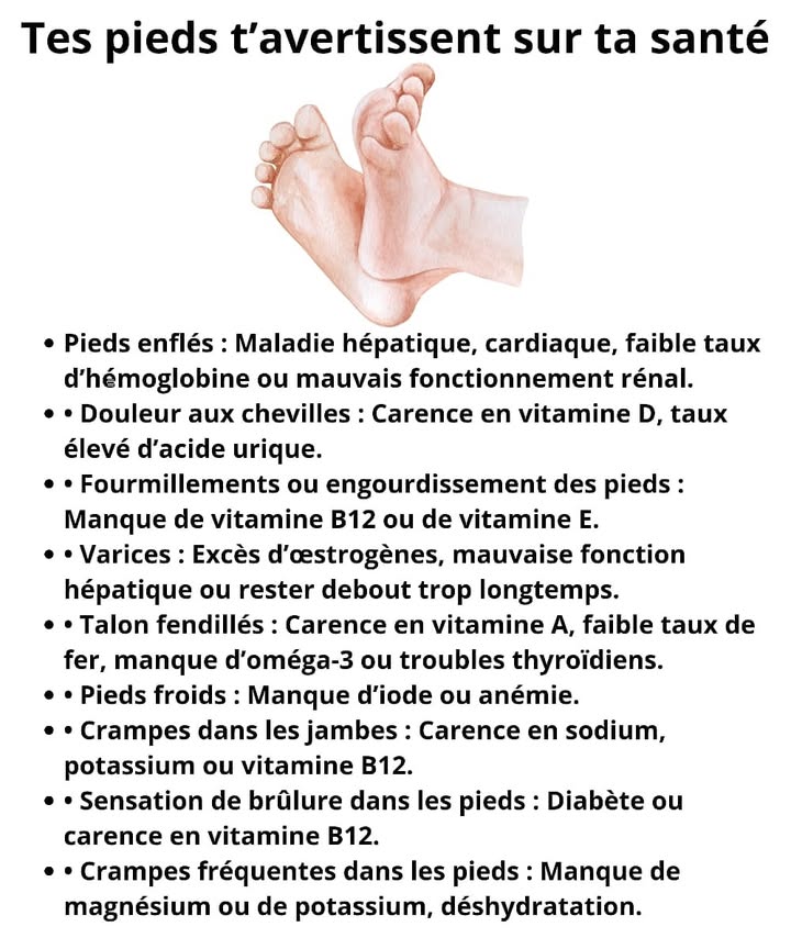禮 Ce que Tes Pieds Disent de Ta Santé 禮
Parfois, les pieds envoient des signaux simples mais importants. Les comprendre aide à mieux écouter ton corps au quotidien.
1 Pieds gonflés 流
Peuvent signaler un problème hépatique, cardiaque, un manque dhémoglobine ou une fatigue rénale.
2 Douleur aux chevilles 
Souvent liée à une carence en vitamine D ou à un excès dacide urique.
3 Picotements ou engourdissement 曆
Indiquent un manque de vitamine B12 ou de vitamine E.
4 Varices visibles 喝
Associées à un excès dœstrogènes, un foie surchargé ou une longue station debout.
5 Talons fendillés 襁
Peuvent venir dun manque de vitamine A, de fer, doméga-3 ou de troubles thyroïdiens.
6 Pieds froids 
Fréquemment liés à un manque diode ou à lanémie.
7 Crampes dans les jambes 
Souvent causées par un manque de sodium, de potassium ou de vitamine B12.
8 Sensation de brûlure 
Peut indiquer une glycémie élevée ou une carence en vitamine B12.
9 Crampes répétées du pied 例
Liées à une carence en magnésium ou potassium, ou à la déshydratation.
#santenaturelle #bienetre