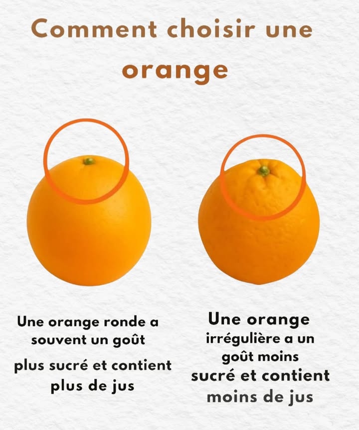 Bien Choisir Ses Oranges 

1 Choisissez des fruits ronds et bien proportionnés
Les oranges à la forme régulière sont souvent plus mûres et plus riches en jus. Les formes irrégulières peuvent révéler un goût moins prononcé.

2 Privilégiez celles qui sont lourdes en main
À taille égale, lorange la plus lourde contient généralement davantage de jus, ce qui la rend plus savoureuse et désaltérante.

3 Analysez laspect de la peau
Une écorce lisse, ferme et de couleur éclatante est le signe dun fruit arrivé à maturité. Évitez les peaux ternes ou plissées, signes de déshydratation.

4 Évitez les fruits trop légers ou mous
Une orange qui manque de densité ou qui senfonce légèrement au toucher contient souvent moins de jus et offre une saveur plus faible.

 Avec quelques critères simples, il devient facile de choisir des oranges juteuses, parfumées et pleines de vitalité.