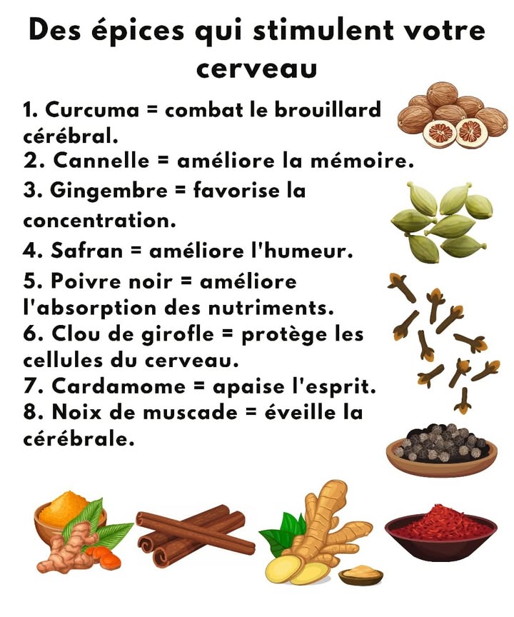 易 Épices qui stimulent le cerveau 
1  Curcuma  Dissipe la brume mentale et apporte une belle clarté desprit.
2  Cannelle  Renforce la mémoire et aide à mieux se concentrer.
3  Gingembre  Donne un coup de boost à la concentration et à lénergie.
4  Safran  Améliore lhumeur et apaise le stress quotidien.
5  Poivre noir  Aide le corps à mieux absorber les nutriments essentiels.
6  Clou de girofle  Protège les cellules du cerveau et diminue linflammation.
7  Cardamome  Calme lesprit et équilibre les émotions.
8 便 Noix de muscade  Éveille la créativité et linspiration.
 Une pincée de ces épices naturelles suffit à dynamiser ton esprit et à nourrir ton bien-être.
#bienetre #santedunaturel