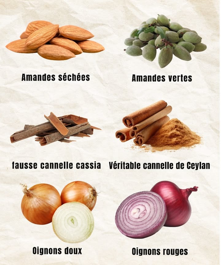 Secrets naturels des aliments et épices du quotidien 

1 Lamande fraîche : purifie la peau et aide à réduire les imperfections et les boutons.

2 Lamande sèche : nourrit le cerveau, améliore la concentration et maintient une peau éclatante.

3 La vraie cannelle de Ceylan : reconnaissable à ses bâtons fins, légers et friables, au parfum chaud et puissant.

4 La fausse cannelle Cassia : ses bâtons sont épais, durs à casser et dégagent une odeur douce et peu marquée.

5 Loignon rouge : excellent cru, il apporte saveur, antioxydants et bienfaits digestifs.

6 Loignon doux : parfait pour la cuisson et la friture, grâce à son goût sucré et sa texture tendre.