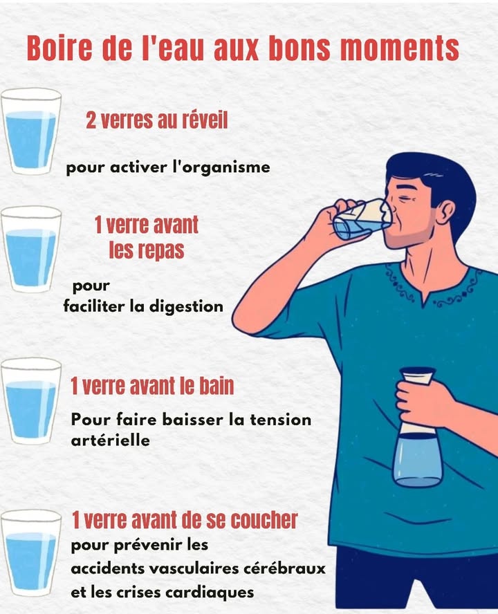 Leau, un geste simple qui fait toute la différence 

拏 Boire deux verres dès le réveil aide le corps à se réactiver après la nuit. Les organes internes redémarrent plus efficacement et le métabolisme se remet en marche.
拏 Un verre avant chaque repas prépare lestomac, facilite la digestion et participe au contrôle de lappétit.
拏 Un verre juste avant la douche soutient la circulation sanguine et peut aider à stabiliser la pression artérielle.
拏 Un verre avant de dormir contribue à maintenir une bonne hydratation pendant la nuit, favorise la régénération des cellules et diminue certains risques cardiovasculaires.

 En gardant une hydratation régulière, on améliore aussi la concentration, laspect de la peau et le bon fonctionnement des reins. Boire de leau au bon moment devient une habitude de santé précieuse pour le long terme.