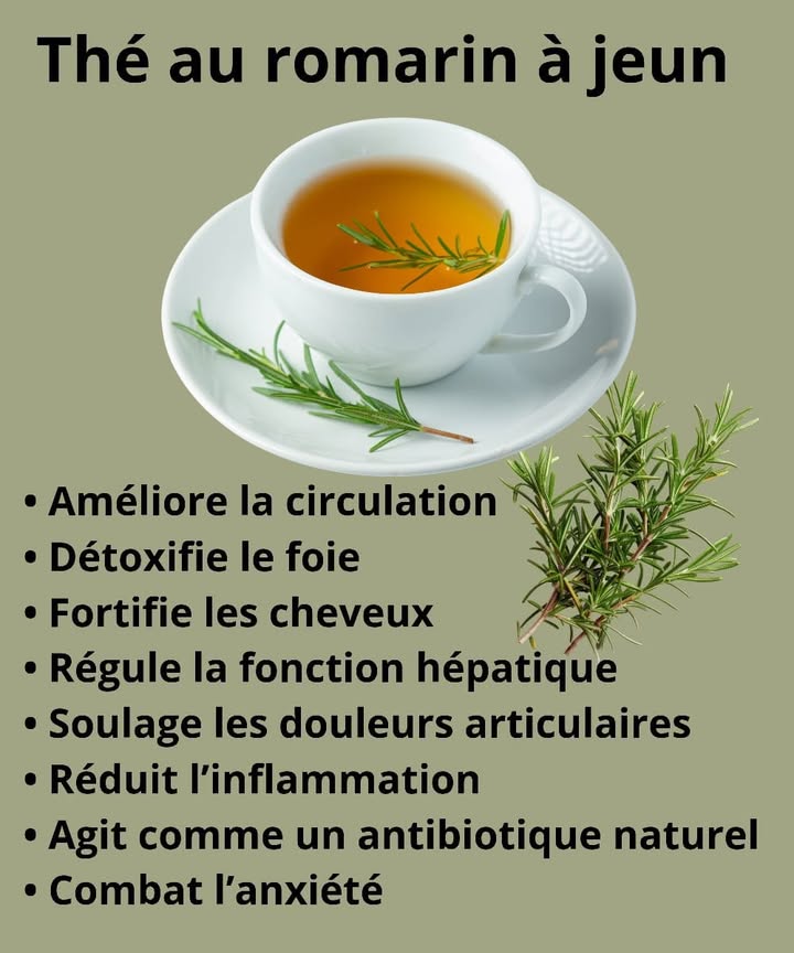 Thé au Romarin à Jeun 
Commence ta journée avec une tasse de thé au romarin, une infusion simple mais pleine de bienfaits pour ton corps et ton esprit.
 Ingrédients
 1 branche de romarin frais 
 1 tasse deau chaude 
1 Fais bouillir leau, puis ajoute la branche de romarin.
2 Laisse infuser environ 10 minutes.
3 Filtre et bois lentement à jeun.
 Bienfaits naturels
 Améliore la circulation sanguine
 Détoxifie le foie et régule sa fonction
 Fortifie les cheveux et les rend plus brillants
 Soulage les douleurs articulaires
 Réduit linflammation
 Agit comme un antibiotique naturel
 Aide à calmer lanxiété et favorise la clarté mentale
 Une habitude matinale simple pour purifier ton organisme et retrouver ton énergie naturelle.
#BienEtre #remedenaturel