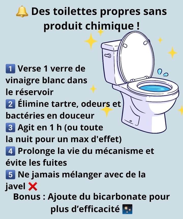 Toilettes propres et écologiques 
Garde tes toilettes fraîches et saines sans produits chimiques agressifs 
1 Verse un verre de vinaigre blanc dans le réservoir 林
2 Laisse agir une heure ou toute la nuit pour dissoudre le tartre 
3 Le vinaigre élimine les bactéries et les mauvaises odeurs naturellement 
4 Il protège le mécanisme et prévient les fuites deau 
5  Ne mélange jamais avec de la javel
 Astuce bonus : ajoute une cuillère de bicarbonate de soude pour un effet encore plus puissant 
#maisonnaturelle #astuceecolo