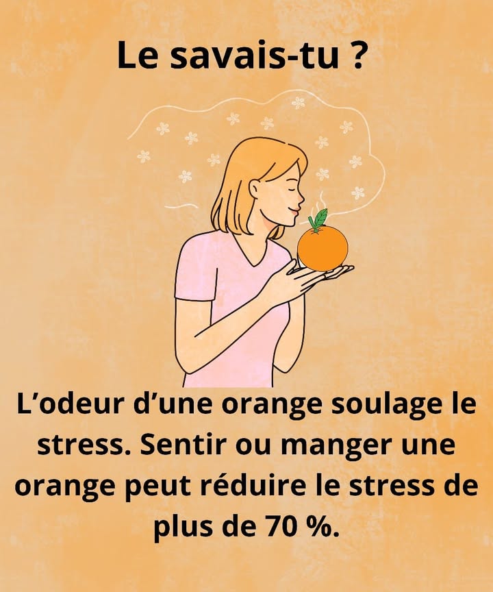 Détente naturelle avec lorange 
1 Lodeur douce et fruitée de lorange agit comme un calmant naturel pour le corps et lesprit. 
2 En la sentant, ton cerveau libère des hormones qui réduisent la tension et favorisent une sensation immédiate de bien-être. 
3 Manger une orange apporte en plus de la vitamine C, qui aide à équilibrer le système nerveux. 
4 Selon des études, ce simple geste peut réduire le stress de plus de 70 %. 
Un petit fruit, un grand effet apaisant  respire profondément, savoure ton orange et laisse la sérénité tenvahir.