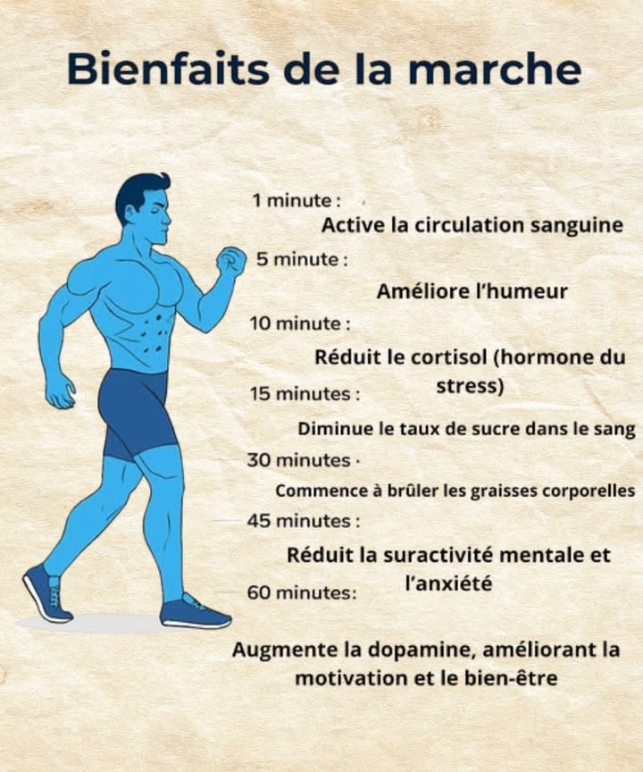 Marcher chaque jour : un geste simple pour transformer le corps et lesprit
