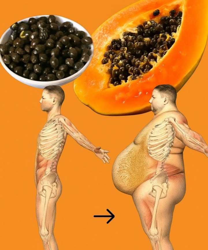 Les graines de papaye : un trésor nutritionnel et médicinal à redécouvrir