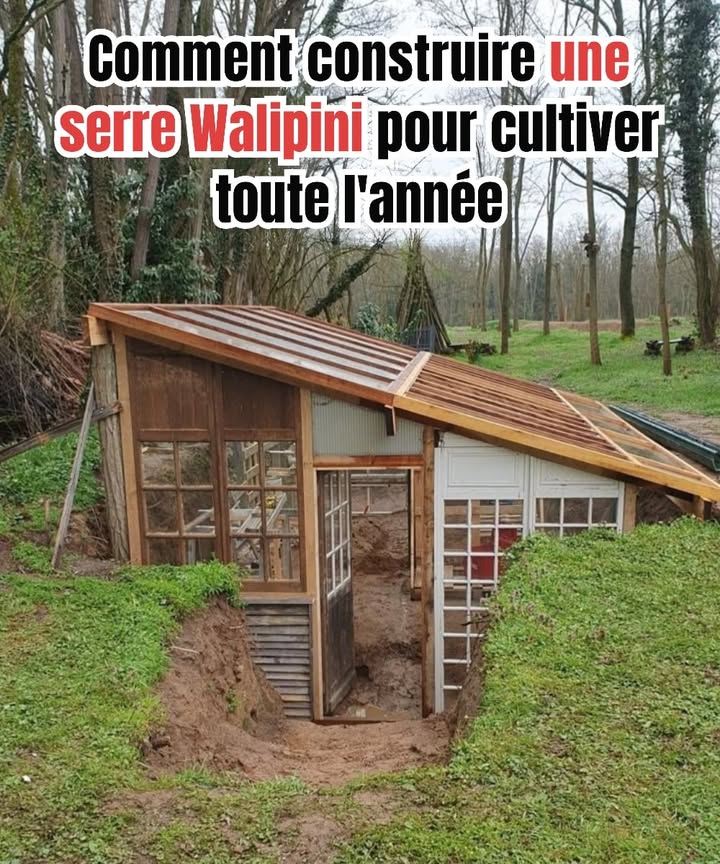 Comment construire une serre Walipini pour jardiner toute lannée