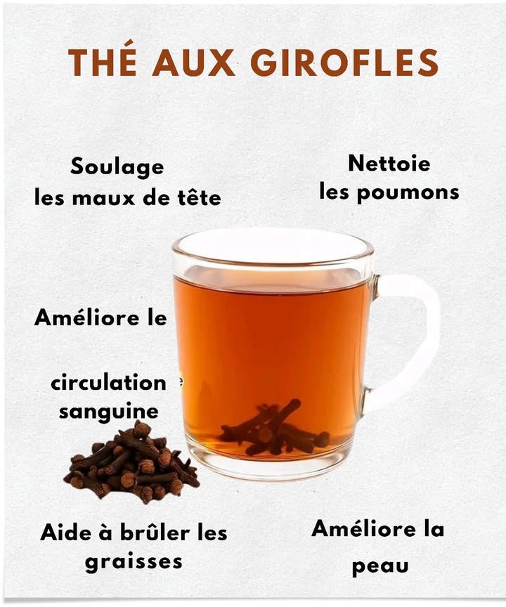 Thé de clous de girofle  Une richesse en principes actifs naturels 

Considérés depuis des siècles comme une épice médicinale, les clous de girofle possèdent une concentration élevée en eugénol, un composé aux propriétés anti-inflammatoires, antalgiques et antimicrobiennes. En infusion, ils deviennent une boisson fonctionnelle, à la fois agréable et bénéfique. 

 Action analgésique : réduit les tensions et les céphalées.
 Effet vasodilatateur : améliore la circulation et soutient le système cardiovasculaire.
 Pouvoir expectorant : aide à fluidifier les sécrétions et libère les voies respiratoires.
 Effet thermogénique : stimule le métabolisme et facilite la dépense énergétique.
 Activité antibactérienne : contribue à limiter les imperfections cutanées.

𥳐 Mode de préparation :
Faire infuser 1 à 2 clous de girofle dans une tasse deau frémissante pendant 8 à 10 minutes. Possibilité dajouter du miel pour adoucir ou un peu de cannelle pour renforcer larôme.