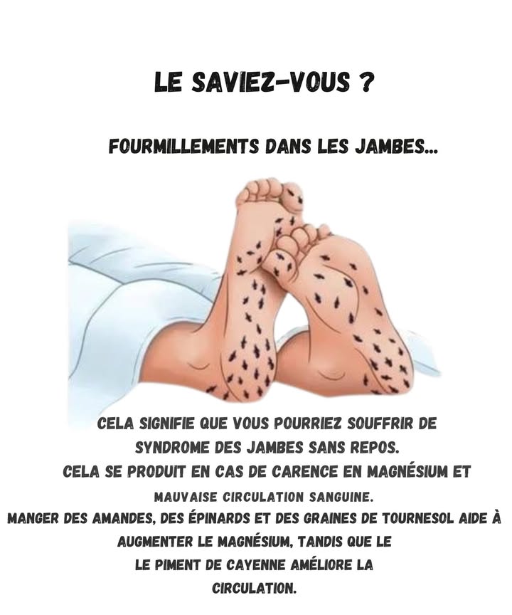 例 Fourmillements dans les Jambes : Ce que Ça Peut Dire 例

1 Si vos jambes picotent comme une armée de petites fourmis, cela peut être lié au syndrome des jambes sans repos. Ce nest jamais au bon moment toujours quand on veut dormir 
2 Les fourmillements arrivent souvent en cas de manque de magnésium. Oui, même si on pense manger assez, parfois le corps dit clairement que non.
3 Une mauvaise circulation sanguine peut aussi provoquer cette sensation bizarre. Le corps a sa manière bien à lui de se faire remarquer.
4 Les amandes, les épinards et les graines de tournesol sont de super alliés pour augmenter le magnésium au quotidien.
5 Le piment de Cayenne peut aider à stimuler la circulation. En petite dose sinon cest vous qui allez chauffer 

De petites habitudes simples peuvent déjà apporter un bon soulagement au quotidien
