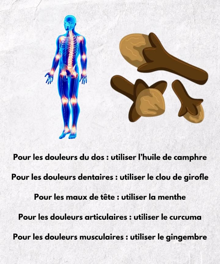 Remèdes naturels pour soulager les douleurs 

1 Pour les douleurs dorsales, lhuile de camphre sapplique en massage afin de détendre les muscles et réchauffer la zone.

2 Pour calmer une douleur dentaire, le clou de girofle reste une solution efficace grâce à ses propriétés anesthésiantes naturelles.

3 Pour apaiser les maux de tête, la menthe apporte un effet rafraîchissant et relaxant lorsquelle est appliquée sur les tempes.

4 Pour les douleurs articulaires, le curcuma agit comme un anti-inflammatoire naturel lorsquil est consommé régulièrement.

5 Pour réduire les tensions musculaires, le gingembre stimule la circulation et soulage la gêne en usage interne ou externe.