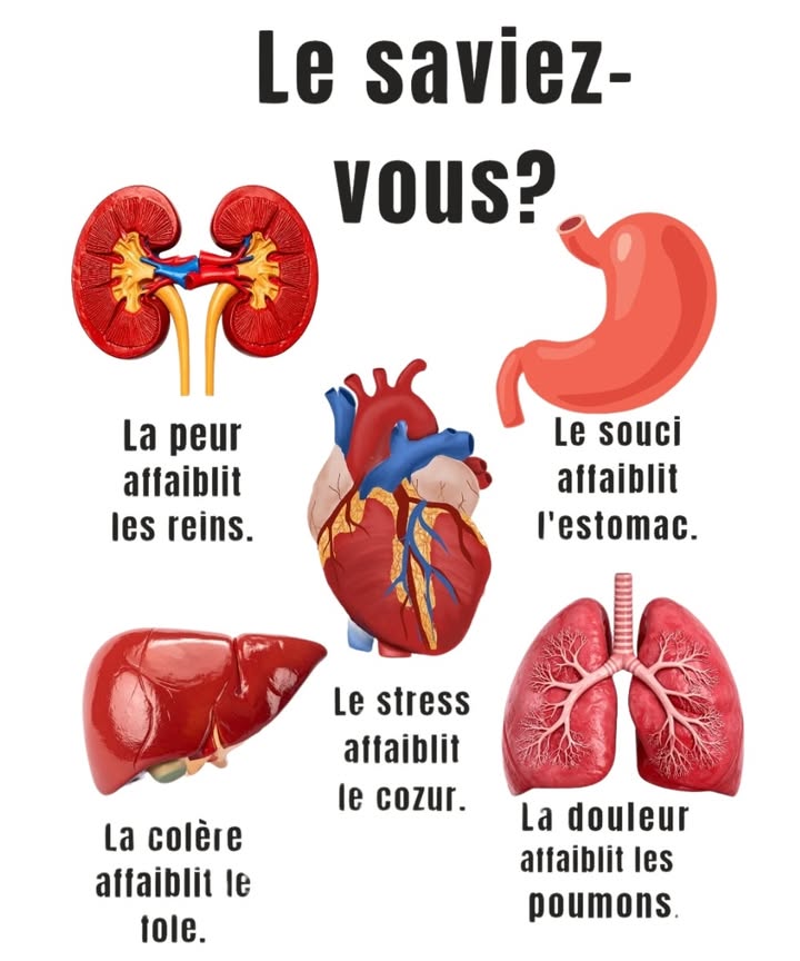 Les émotions qui influencent les organes