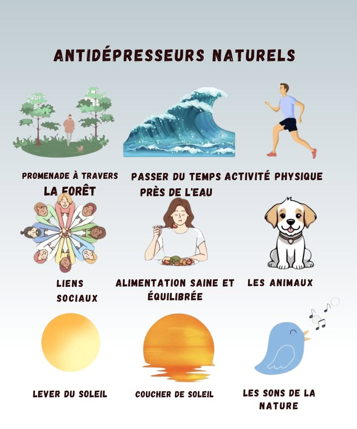 Antidépresseurs naturels à adopter au quotidien 

Parfois, le moral fait une petite chute libre sans prévenir Heureusement, certains gestes simples peuvent booster lhumeur sans gadgets compliqués. Voici un petit guide léger et facile à appliquer.

1 Se promener en forêt
Rien ne détend autant que marcher au milieu des arbres. Et oui, même si on finit toujours par ramasser une feuille  parce quelle est jolie .

2 Passer du temps près de leau
Regarder les vagues ou écouter une rivière apaise lesprit presque instantanément. Le plus dur, cest de repartir.

3 Faire une activité physique
Bouger libère des hormones du bonheur. Même dix minutes comptent, surtout quand on se félicite comme si on avait couru un marathon.

4 Cultiver les liens sociaux
Rire, parler, partager Les proches, ça réchauffe le moral. Même quand on discute de tout et de rien pendant des heures.

5 Manger sainement
Les repas équilibrés boostent lénergie et lhumeur. Même si parfois, on rêve juste dune pizza entière.

6 Passer du temps avec les animaux
Un regard, un câlin, et le cœur se détend. Impossible de rester stressé quand un animal vous suit partout.

7 Admirer le lever du soleil
Un moment simple, mais magique. On se dit toujours quon devrait le faire plus souvent mais on aime aussi dormir.

8 Regarder le coucher du soleil
Fini la journée, place au calme. Parfait pour relâcher la pression et respirer.

9 Écouter les sons de la nature
Le chant des oiseaux ou le vent dans les arbres remet lesprit à zéro. Même si parfois, on confond un bruit avec son téléphone.