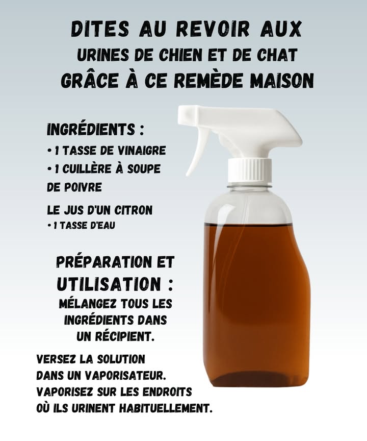 Dites Adieu aux Odeurs dUrine à la Maison 

1 Ingrédients simples
1 tasse de vinaigre
1 cuillère à soupe de poivre
Le jus dun citron
1 tasse deau

2 Préparation
Mélangez tout dans un récipient.
Versez dans un vaporisateur.

3 Utilisation
Vaporisez sur les zones où votre chien ou chat a lhabitude de faire pipi.
Lodeur disparaît et lenvie de recommencer aussi 

Petit conseil 
Si votre animal vous regarde bizarrement après cest normal, il se demande juste qui a changé les règles !
