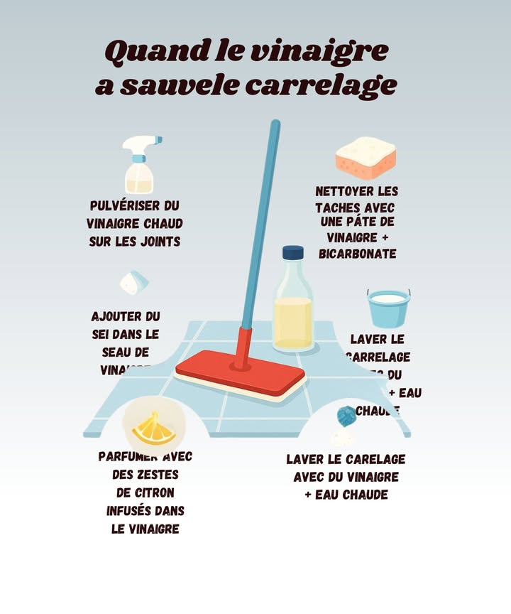 什 Le vinaigre, super-héros du carrelage 什

1 Pulvérise du vinaigre chaud sur les joints oui, ça pique un peu au nez, mais cest radical contre la saleté incrustée.

2 Mélange du vinaigre avec du bicarbonate pour créer une pâte magique et frotte les taches tenaces attention aux éclaboussures, ça mousse fort !.

3 Ajoute une pincée de sel dans ton seau de vinaigre pour booster leffet nettoyant.

4 Infuse quelques zestes de citron dans ton vinaigre, ça évite lodeur cornichon et laisse un parfum frais.

5 Termine en lavant le carrelage avec du vinaigre et de leau chaude ton sol brille comme neuf et toi, tu te sens un peu chimiste de la propreté.

 Petit piège : ne laisse pas sécher sans rincer un minimum, sinon ça colle sous les chaussettes !