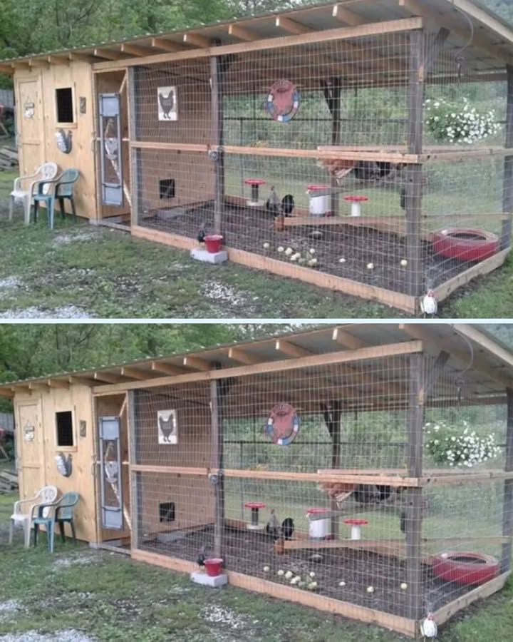 Un Poulailler Simple et Confortable Pour Vos Poules 

Si tu rêves davoir tes propres œufs frais chaque matin, ce type de poulailler est parfait : pratique, aéré, et super facile à gérer au quotidien. Et oui, les poules aiment aussi vivre dans le confort 

1 Un abri fermé bien au sec
Cest leur petite maison pour dormir et se protéger du froid et des prédateurs.
Petit détail quon oublie parfois : ventiler sans créer de courant dair sinon elles se vexent 

2 Une grande partie extérieure grillagée
Ça leur permet de marcher, picorer, sétirer, bref vivre leur meilleure vie de poule.
Le grillage évite les visites surprises du renard tu sais, celui qui passe quand tu as le dos tourné 力.

3 Eau et nourriture accessibles
Place les abreuvoirs et mangeoires en hauteur pour éviter la terre dedans.
Parce que oui elles retournent tout, tout le temps 

4 Des perchoirs et de la paille fraîche
Les poules aiment dormir en hauteur et pondre dans un endroit doux et propre.
Paille fraîche = œufs propres = bonheur du matin 讀

5 Un sol à gratter
Laisse un peu de terre, elles adorent fouiller et chercher des petites surprises invisibles à lœil humain 

Petit clin dœil :
On commence souvent avec 2 poules et soudain, on en a 8.
Cest normal. Ça sappelle lamour poulailler 

 Résultat
Un espace simple, chaleureux et fonctionnel. Tes poules seront heureuses, calmes et toi, tu profiteras dœufs frais, naturels et pleins de goût tous les jours