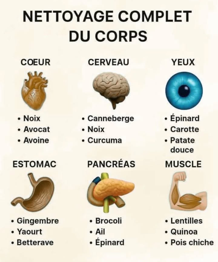 Nettoyage complet du corps : les aliments qui soutiennent chaque organe 

Notre corps fonctionne comme une machine sophistiquée. Pour quil reste performant, il a besoin dun bon entretien. Certains aliments possèdent des propriétés exceptionnelles capables de nourrir, purifier et revitaliser nos organes. Voici un guide simple pour favoriser un nettoyage naturel de lintérieur  tout en se régalant !

 Cœur : force et protection

Le cœur a besoin daliments riches en acides gras et antioxydants.

Noix 樂 : elles aident à réguler le cholestérol.

Avocat 陋 : excellent pour la santé cardiovasculaire.

Avoine  : réduit labsorption des graisses et nettoie les artères.

易 Cerveau : clarté et concentration

Le cerveau adore les aliments qui stimulent la mémoire et la circulation sanguine.

Canneberge  : protège les neurones grâce à ses polyphénols.

Noix 易 : riche en oméga-3, idéale pour la concentration.

Curcuma  : puissant anti-inflammatoire naturel.

 Yeux : vision et vitalité

Préservez vos yeux grâce aux caroténoïdes et à la vitamine A.

Épinard  : protège la rétine.

Carotte 凌 : améliore la vision nocturne.

Patate douce  : source naturelle de bêta-carotène.

 Estomac : digestion et confort

Un bon système digestif est la clé dun corps équilibré.

Gingembre  : stimule la digestion et réduit les ballonnements.

Yaourt 拏 : équilibre la flore intestinale.

Betterave  : nettoie lestomac et soutient le foie.

 Pancréas : énergie et équilibre

Cet organe crucial régule la glycémie et la production denzymes digestives.

Brocoli 復 : riche en fibres et en antioxydants.

Ail 龍 : favorise la détoxification.

Épinard  : soutient la production dinsuline.

 Muscles : tonus et récupération

Pour des muscles solides et bien nourris :

Lentilles  : riches en protéines végétales.

Quinoa  : contient les neuf acides aminés essentiels.

Pois chiches 阮 : source dénergie durable.

 En résumé

Un corps sain commence dans lassiette. En intégrant ces aliments à ton quotidien, tu offres à tes organes le soutien dont ils ont besoin pour fonctionner à plein régime  naturellement et sans excès.