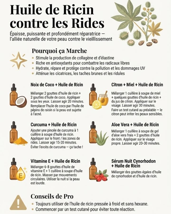 Dites adieu aux rides avec lhuile de ricin ! Ce guide vous révèle des mélanges simples à réaliser chez vous pour une peau visiblement plus jeune.

#fblifestyle #beauté #rajeunissement #astucesnaturelles