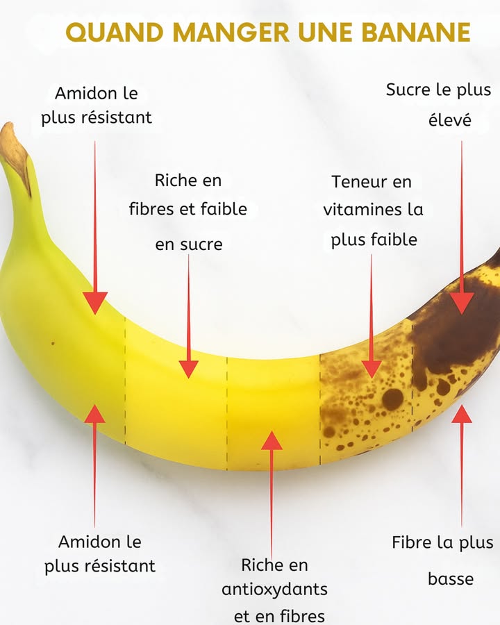 Quand manger une banane ?

La banane évolue beaucoup selon son degré de maturité, et chaque étape a ses bienfaits spécifiques 

 Banane verte

Riche en amidon résistant bon pour la digestion et le microbiote

Faible en sucre

Idéale pour les personnes qui surveillent leur glycémie

 Banane jaune moyennement mûre

Riche en fibres et en antioxydants

Énergie équilibrée

Parfaite pour une collation avant le sport

 Banane très mûre avec taches brunes

Sucre plus élevé

Moins de fibres et de vitamines

Plus digeste, idéale pour un regain dénergie rapide

 Astuce : choisissez la banane selon vos besoins du moment  énergie rapide ou digestion lente !