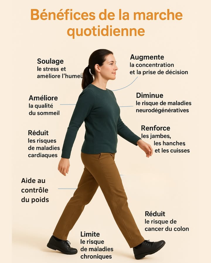 Pourquoi marcher chaque jour est lun des meilleurs cadeaux que vous pouvez offrir à votre santé ?

La marche est lactivité physique la plus simple mais aussi lune des plus puissantes.
Quelques minutes par jour suffisent pour transformer votre énergie, votre humeur et votre santé globale.

Voici ce que la marche peut faire pour vous 

易 Améliore lhumeur & réduit le stress

Elle libère des endorphines, apaise lesprit et aide à diminuer lanxiété.

里 Boost la concentration & la clarté mentale

Marcher augmente le flux sanguin vers le cerveau, améliorant ainsi lattention et la prise de décision.

 Favorise un meilleur sommeil

Une marche quotidienne peut réguler le rythme circadien et améliorer la qualité des nuits.

 Réduit les risques cardiovasculaires

Elle aide à renforcer le cœur, améliorer la circulation et réguler la pression artérielle.

例 Renforce les jambes, les hanches et les cuisses

Un mouvement simple mais terriblement efficace pour les muscles du bas du corps.

裂 Diminue le risque de maladies chroniques

Marcher quotidiennement contribue à prévenir le diabète, certaines maladies inflammatoires et même le cancer du côlon.

 Aide au contrôle du poids

Un excellent moyen de brûler des calories en douceur, sans stress pour les articulations.

Même 20 à 30 minutes par jour peuvent faire une énorme différence.

 Et vous, combien de minutes de marche faites-vous par jour ?