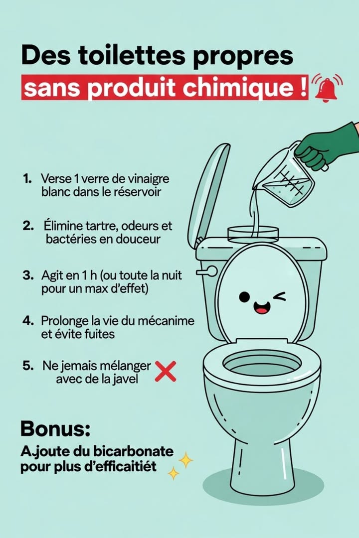 Des toilettes propres sans produit chimique ! 
Tu veux une solution simple, écologique et économique ? Essaie ça 

1 Verse un verre de vinaigre blanc dans le réservoir
2 Il élimine tartre, odeurs et bactéries naturellement
3 Laisse agir 1 heure ou toute la nuit pour un effet maximal
4 Résultat : un mécanisme propre, durable et sans fuites 
 Ne mélange jamais avec de la javel !

 Astuce bonus : ajoute un peu de bicarbonate de soude pour une action renforcée