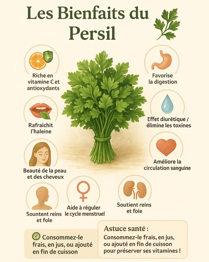 Le persil, un simple aromate ? Pas du tout !
Cette petite plante verte cache de grands pouvoirs pour la santé 

Riche en vitamines, minéraux et antioxydants, le persil aide à :
 Stimuler la digestion
裂 Renforcer limmunité
 Embellir la peau et les cheveux

 Découvre tous les bienfaits du persil et comment lutiliser chaque jour pour profiter de ses vertus naturelles