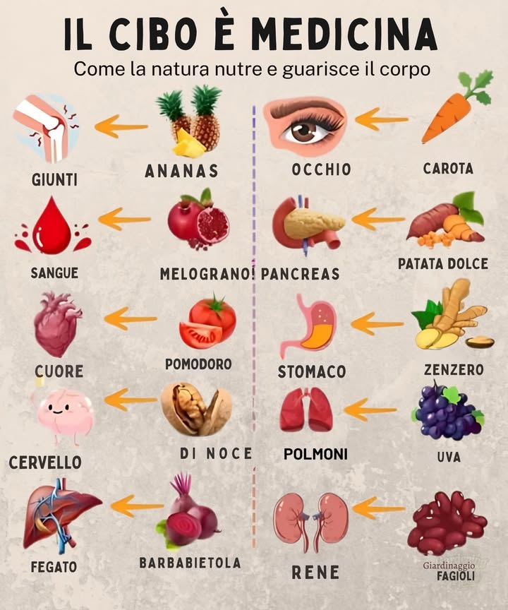 Il cibo è medicina: come la natura nutre e guarisce 

 Ananas: Riduce linfiammazione e allevia il dolore articolare.  
 Melograno: Aumenta il flusso sanguigno e protegge i globuli rossi.  
 Pomodoro: Ricco di nutrienti per un cuore più sano.  
易 Noci: Ricche di omega-3 per una migliore memoria e concentrazione.  
 Barbabietola: Disintossica il fegato e migliora la circolazione.  
凌 Carota: Beta-carotene per una visione acuta.  
 Patata dolce: Regola la glicemia e favorisce la digestione.  
 Zenzero: Calma la nausea e supporta la digestione.  
 Uva: Protegge i polmoni dalle tossine.  
齃 Fagioli rossi: Supportano la salute dei reni con fibre e minerali.

Abbraccia la guarigione della natura!
