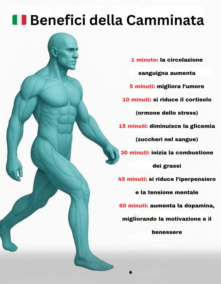 Benefici della camminata

Camminare ogni giorno produce effetti positivi progressivi sul corpo e sulla mente.
Ecco come reagisce lorganismo nel tempo:

1 minuto: la circolazione sanguigna si attiva
5 minuti: migliora lumore
10 minuti: si riduce il cortisolo ormone dello stress
15 minuti: diminuisce la glicemia
30 minuti: inizia la combustione dei grassi
45 minuti: si riduce liperpensiero e la tensione mentale
60 minuti: aumenta la dopamina, migliorando la motivazione e la concentrazione

Camminare regolarmente contribuisce a mantenere equilibrio fisico e mentale.