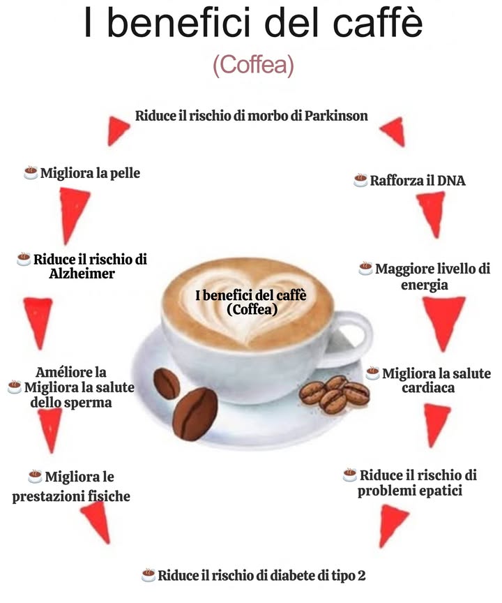 Un viaggio sensoriale nel mondo del caffè 
Nato in Etiopia nel XV secolo, il caffè ha attraversato secoli, culture e continenti. Dalla leggenda del pastore Kaldi al suo arrivo nei salotti europei, è diventato una bevanda universale.

 Una storia affascinante
Dal chicco verde alla tazza moderna, ogni sorso racconta il suo cammino: dai caffè del XVII secolo fino al rituale globale del XIX.

 Le varietà più iconiche:
 Arabica  Delicato e dolce, coltivato in alta quota
 Robusta  Forte e intenso, perfetto per una carica di energia
 Liberica  Fruttato e floreale, raro e originale
 Excelsa  Sottile e cremoso, tipico dellAsia

 Il caffè è molto più di una bevanda: è arte, cultura e piacere condiviso in tutto il mondo.