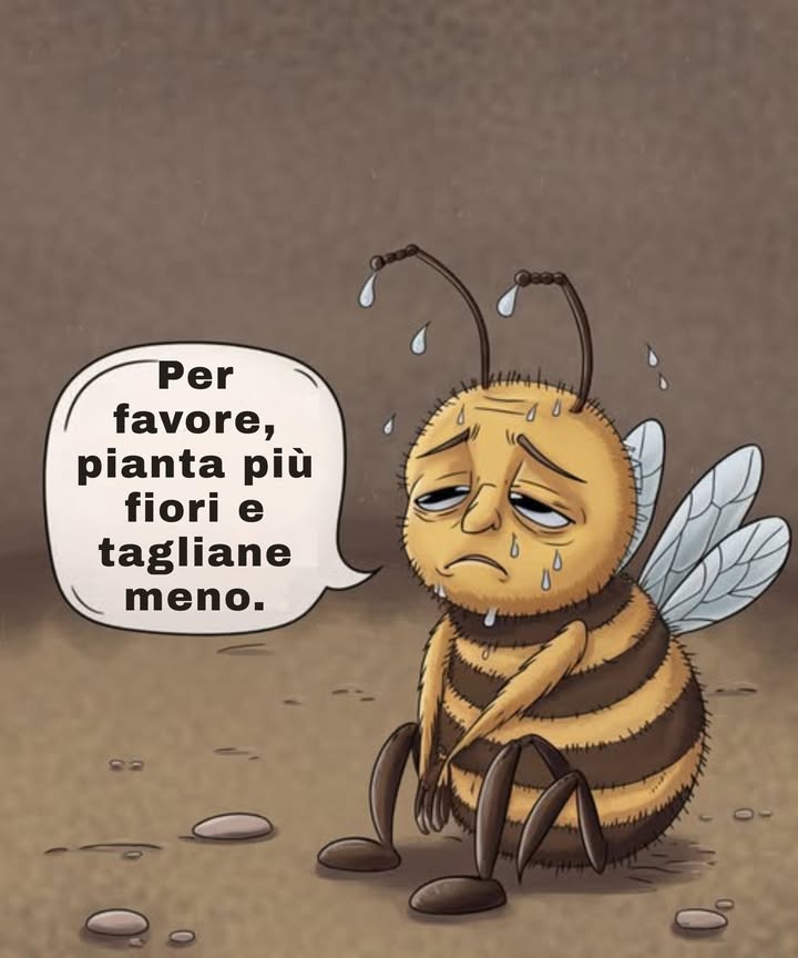 Le api stanno affrontando una crisi e hanno bisogno del nostro aiuto. Ogni fiore che piantiamo rappresenta una nuova speranza per la loro sopravvivenza. Meno potatura, più fiori. Più vita. Trasforma il tuo giardino in un paradiso per le api.