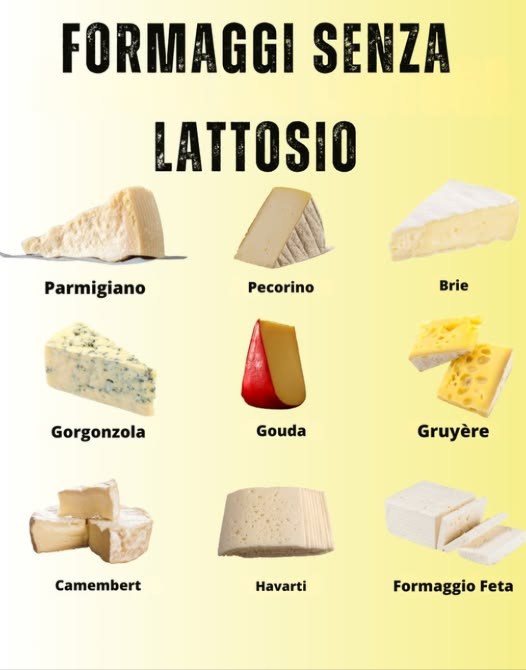 Formaggi senza lattosio