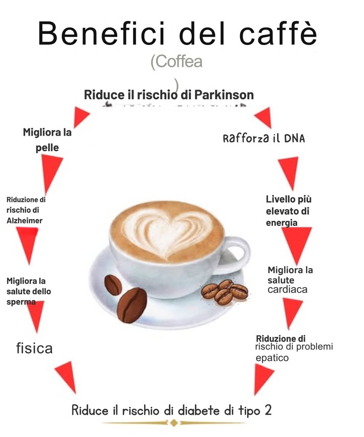 Il caffè ha origine in Etiopia nel XV secolo, dove veniva coltivato e consumato sotto forma di bacche verdi. La leggenda narra che un pastore di nome Kaldi scoprì leffetto stimolante del caffè dopo aver osservato che le sue capre diventavano più energiche dopo aver mangiato le bacche. Da allora, il caffè si è diffuso in tutto il mondo ed è diventato una delle bevande più consumate. Nel corso della storia, il caffè è evoluto e si è adattato alle diverse culture e regioni. Nel XVII secolo, il caffè fu introdotto in Europa, dove divenne una bevanda popolare tra laristocrazia. Nel XIX secolo, il caffè si diffuse in tutto il mondo ed è diventato una bevanda consumata in tutte le classi sociali. Tipi di caffè Ci sono molti tipi di caffè, ognuno con il proprio gusto e caratteristiche. Alcuni dei tipi di caffè più comuni sono: – Arabica: Considerato da molti come il miglior tipo di caffè, larabica è coltivata ad altitudini elevate e ha un sapore dolce e complesso. – Robusta: Il robusta è un tipo di caffè più forte e amaro rispetto allarabica, ed è comunemente usato nei blend di caffè. – Liberica: Il Liberica è un tipo di caffè coltivato in Africa occidentale e ha un sapore fruttato e floreale. – Excelsa: Lexcelsa è un tipo di caffè coltivato in Asia e ha un sapore dolce e cremoso.