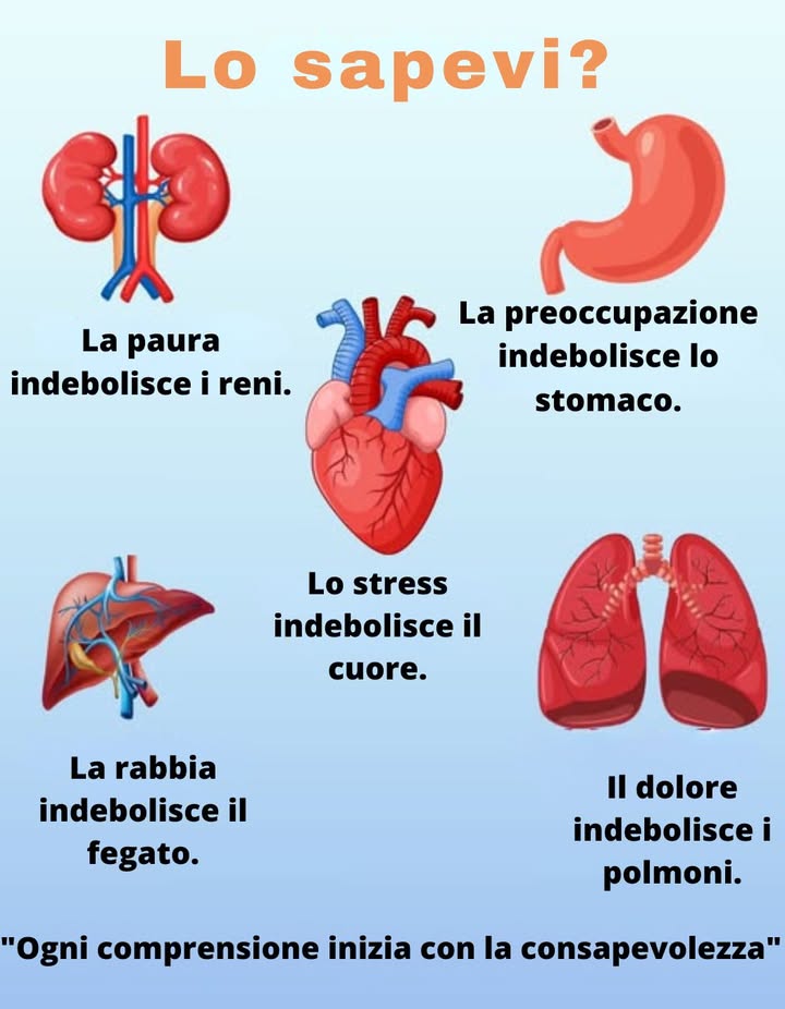 Come le emozioni influenzano i tuoi organi:
