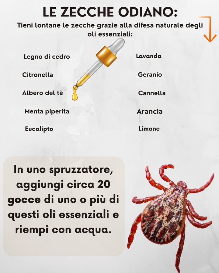 Le zecche odiano questi oli! 
Tieni lontane le zecche con la protezione naturale degli oli essenziali:

 Cedro
 Citronella
 Tea Tree
 Menta piperita
 Eucalipto
 Lavanda
 Geranio
 Cannella
 Arancia
 Limone

林 Spray naturale anti-zecche
In un flacone spray:
 Aggiungi 20 gocce degli oli scelti
 Riempi con acqua
 Agita e spruzza su vestiti, animali con cautela o attrezzi da giardino

 Niente chimica. Niente morsi. Solo protezione vegetale.