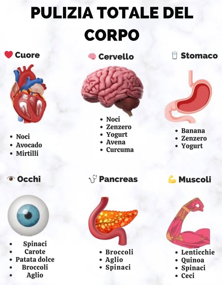 LIMPIEZA TOTAL DEL CUERPO