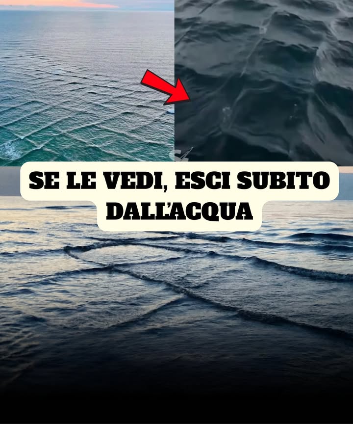 SE VEDI ONDE QUADRATE, DEVI USCIRE IMMEDIATAMENTE DAL MARE

Le onde quadrate, chiamate anche onde trasversali, formano un motivo simile a una scacchiera sulla superficie del mare.

Si generano quando due sistemi di onde distinti si incrociano quasi a angoli retti, creando unintersezione caotica. Questo fenomeno genera correnti potenti e imprevedibili che rendono il mare estremamente pericoloso per i bagnanti e le piccole imbarcazioni, che possono essere trascinate o capovolte con facilità.

La raccomandazione è chiara: se vedi onde quadrate, esci immediatamente dallacqua e allontanati dalla zona.