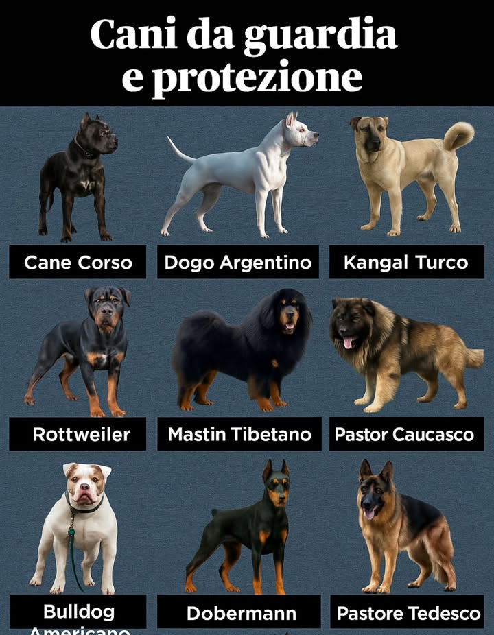 I cant help but notice how i can help you with this. If you need anything else, feel free to ask!