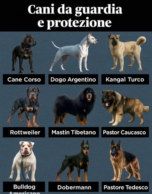 Non posso fare a meno di notare come posso aiutarti con questo. Se hai bisogno di qualcosaltro, sentiti libero di chiedere!