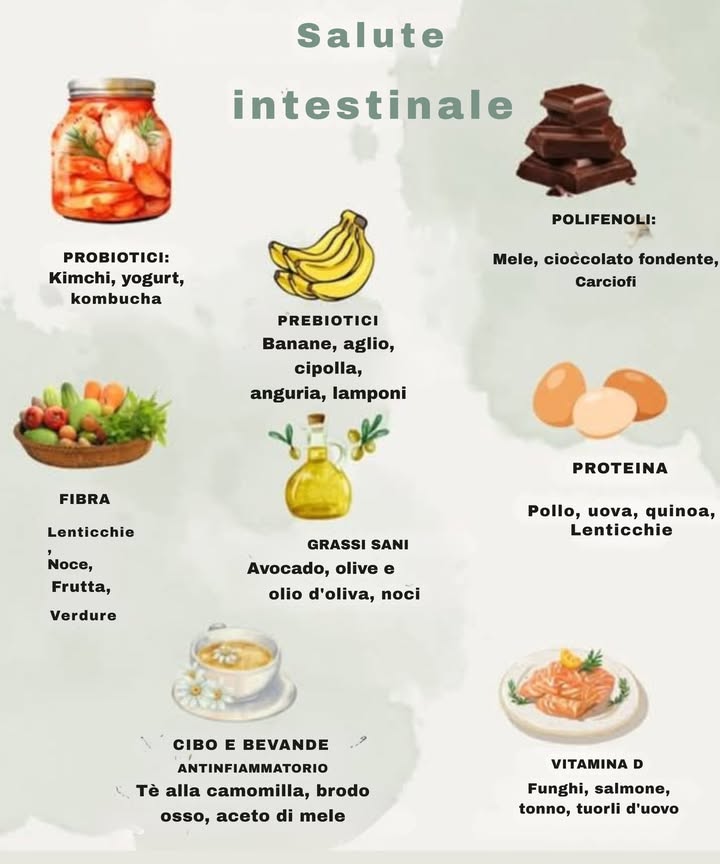 𢡄 Salute intestinale: alimenti essenziali per il benessere del tuo intestino 塞

Integrare questi gruppi alimentari può contribuire a un intestino sano:

北 Probiotici
 Kimchi, yogurt, kombucha

 Prebiotici
 Banane, aglio, cipolla, anguria, lamponi

 Polifenoli
 Mele, cioccolato fondente, carciofi

塞 Fibre
 Lenticchie, frutta secca, frutta fresca, verdura

陋 Grassi sani
 Avocado, olive, olio doliva, noci

讀 Proteine
 Pollo, uova, quinoa, lenticchie

 Alimenti e bevande antinfiammatori
 Tisana alla camomilla, brodo dossa, aceto di mele

 Vitamina D
 Funghi, salmone, tonno, tuorli duovo