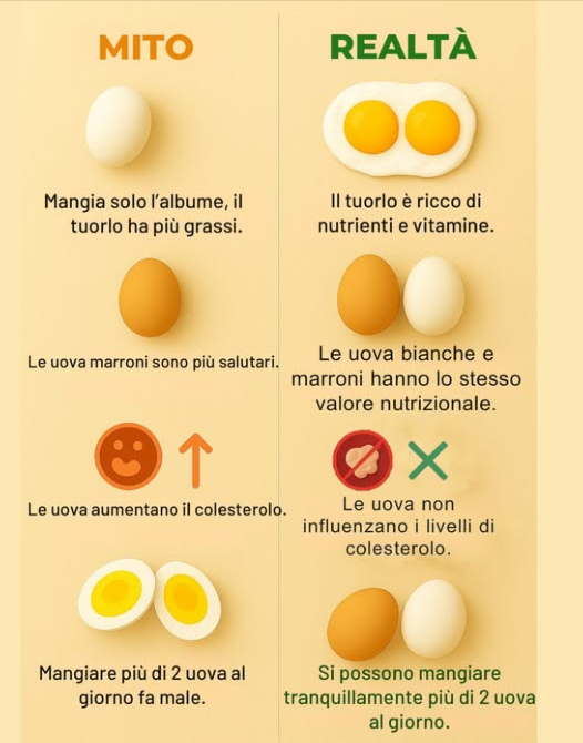 Miti e fatti sulle uova