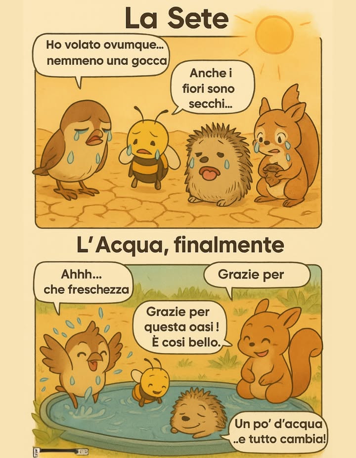 Un piccolo gesto per noi, la sopravvivenza per loro