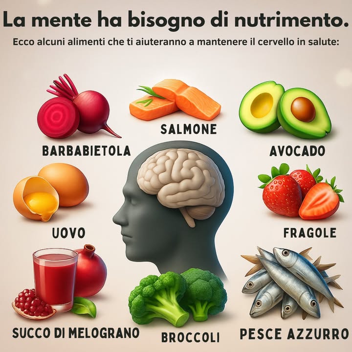 易 La mente ha bisogno di nutrizione.  
Alimentare il tuo cervello è importante quanto alimentare il tuo corpo.  Ci sono alcuni cibi che hanno un impatto diretto sulla nostra salute mentale e possono migliorare la nostra concentrazione, memoria e benessere generale.  

 Barbabietola: Ricca di antiossidanti, aiuta a migliorare il flusso sanguigno al cervello.  
 Salmone: Ricco di acidi grassi omega-3, essenziali per la salute cerebrale.  
陋 Avocado: Contiene grassi sani che contribuiscono al buon funzionamento cerebrale.  
 Fragole: Piene di vitamina C e antiossidanti, ideali per proteggere il tuo cervello.  
讀 Uovo: Fonte di colina, fondamentale per la memoria e le funzioni cognitive.  
 Succo di Melograno: Rinvigorisce la memoria e la salute cerebrale.  
復 Broccoli: Pieni di vitamine K e antiossidanti che favoriscono la salute mentale.  
 Pesce grasso: Aiuta a combattere linfiammazione cerebrale e migliora la memoria.  

 Suggerimento: Incorpora questi alimenti nella tua dieta per mantenere il tuo cervello sano e in piena forma. Prenditi cura della tua mente, nutrendola correttamente! 易  

#Nutrición #SaludMental #CerebroSano #VidaFit #Nutrizione #SaluteMentale #CervelloSano #VitaFit 陋