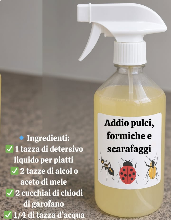Guida rapida: Eliminazione naturale di pulci, formiche e scarafaggi  
 Ingredienti:  
 1 tazza di detergente liquido per piatti  
 2 tazze di alcol o aceto di mele  
 2 cucchiai di chiodi di garofano  
 1/4 tazza di acqua  
 Preparazione:  
1 Bollire lacqua e aggiungere i chiodi di garofano. Lasciare in infusione per 10 minuti.  
2 Mescolare il detergente con alcol o aceto in un altro recipiente.  
3 Quando lacqua con i chiodi di garofano si è raffreddata, aggiungerla al composto.  
4 Versare in una bottiglia spray e agitare delicatamente.  
 Modo duso:  
 Spruzzare negli angoli, porte, finestre e zone con insetti.  
 Applicare regolarmente per mantenere lontane le infestazioni.  
 Mantenere la pulizia della casa per evitare di attirare insetti.  
 Risultato: Una casa libera da infestazioni con una soluzione naturale ed efficace.  

#GuíaRápida #GuidaRapida #EliminaciónNatural #EliminazioneNaturale #SoluciónEficaz #SoluzioneEfficace