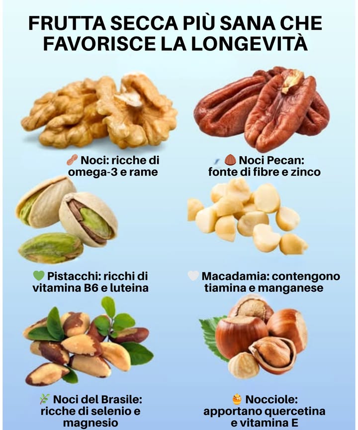 Frutta secca che supporta la longevità   
Noci: ricche di omega-3 e rame  
Pecan: fonte di fibra e zinco  
Pistacchi: apportano vitamina B6 e luteina  
Macadamia: si distinguono per la tiamina e il manganese  
Noci del Brasile: molto alte in selenio e magnesio  
Nocciole: contengono quercetina e vitamina E