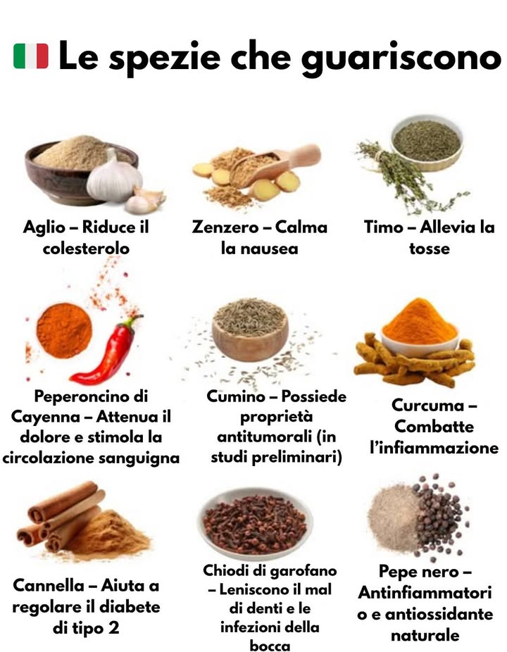 Le spezie che guariscono   
 Salute e sapore riuniti in ogni morso.