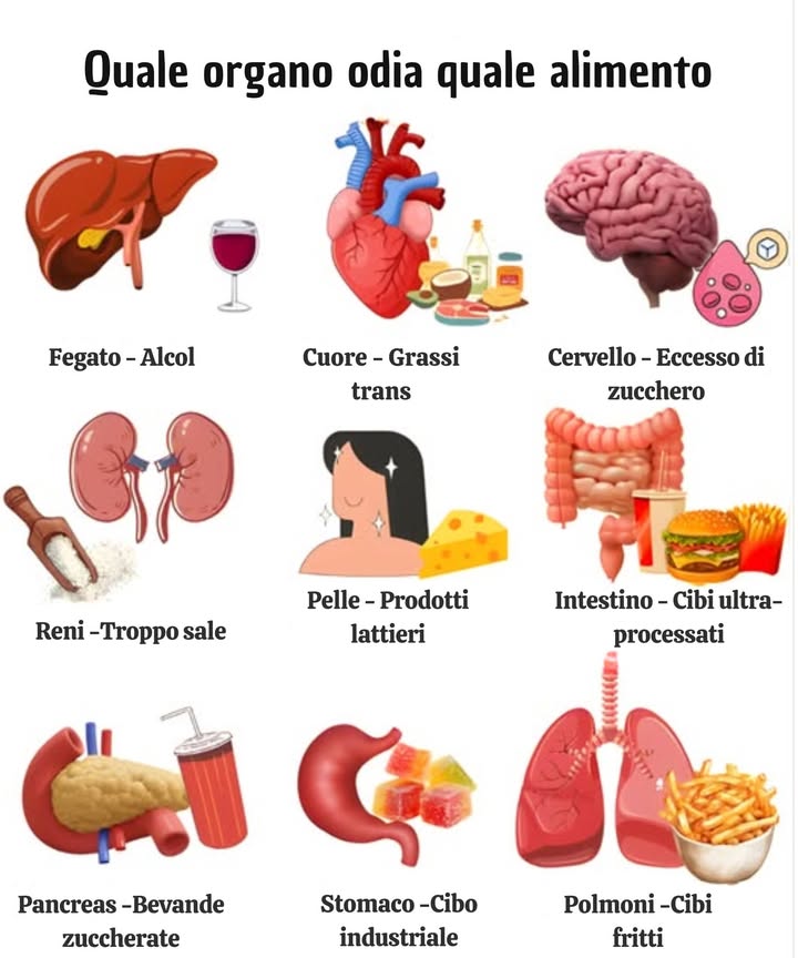 喙 Quale Organo Odia Qualcosa