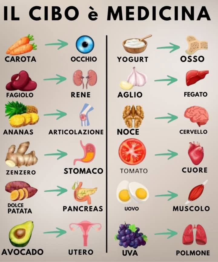 IL CIBO è MEDICINA